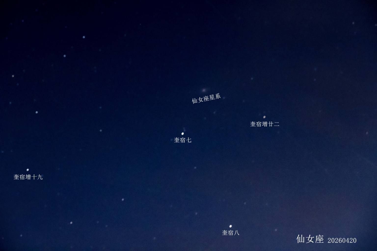 WONDER 游戏艺术中心主图